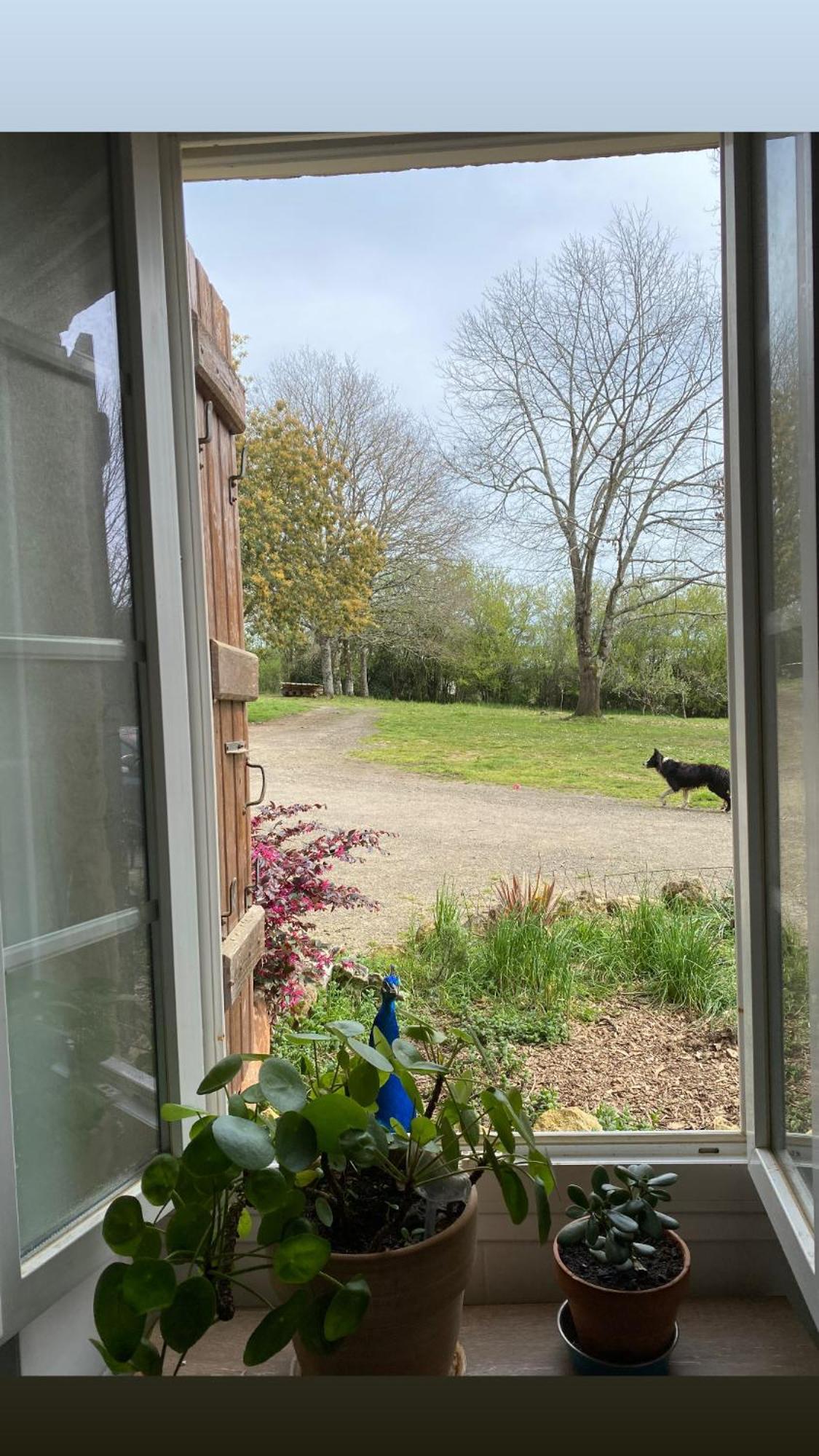 Bed and Breakfast La Bastide Armous-et-Cau Exterior foto